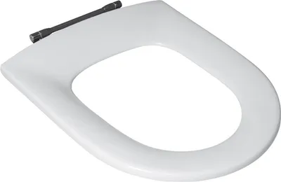Produktbild von Villeroy & Boch V&B Ringsitz Scharn ES we