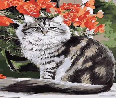 Produktbild von Malen nach Zahlen Katze und Blumen 40x50 auf Rahmen