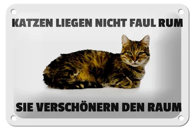 Produktbild von Blechschild Spruch 18x12cm Katzen verschönern den Raum
