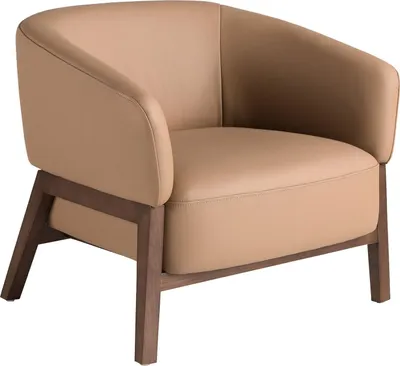 Image de Fauteuil en cuir marron 5189