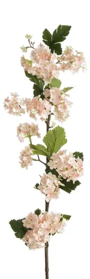Produktbild von Künstlicher Holunderzweig, hellrosa, 90 cm, Set mit 6 Stück