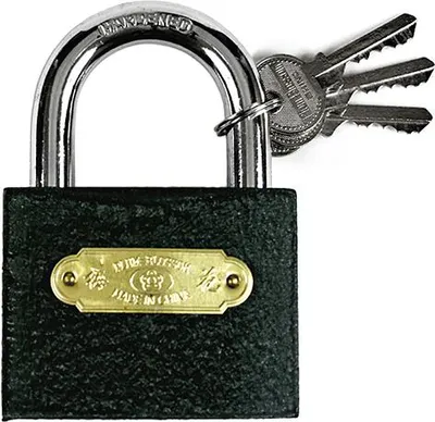 Produktbild von Schloss Xlocker GrayPAD 63 mm, Vorhängeschloss