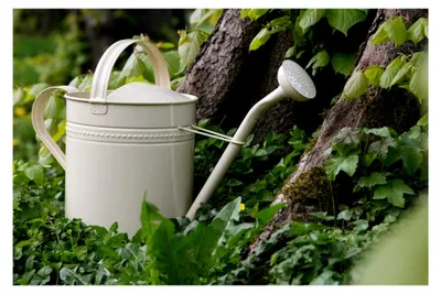 Produktbild von Gießkanne 10 Liter Creme Metall Zinkkanne