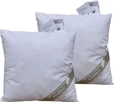 Produktbild von 2 Stück Betten Hofmann Kleinkissen Federkissen Sofakissen Dekokissen 40x40 220g
