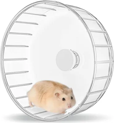 Image de Roue pour hamster 18cm Roue d'exercice pour hamster Jouet silencieux Transparent Animal de compagnie 17cm