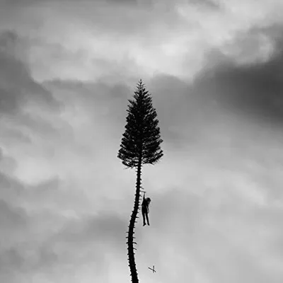 Produktbild von Manchester Orchestra - A Black Mile to the Surface CD