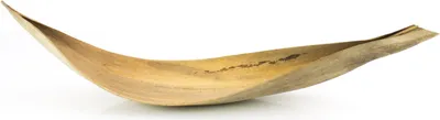 Produktbild von INNA-Glas Deko Kokosblatt CHIPUNA, beige-braun, 60-80cm - Naturdeko