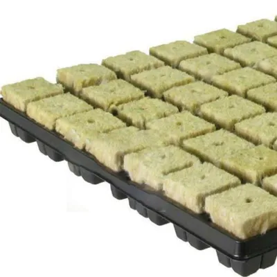 Immagine prodotto di Solidchoice - Set di 100 cubi per la coltivazione senza terra