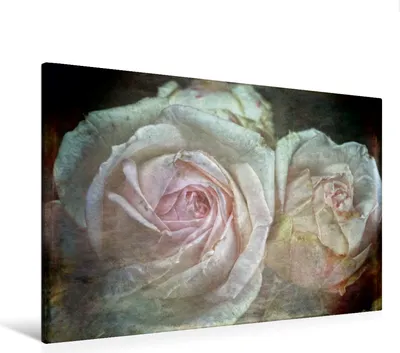 Produktbild von Calvendo Textil-Leinwand 120 cm x 80 cm quer Romantische Rosen - Shabby Chic Style, Cross Martina; 7295954