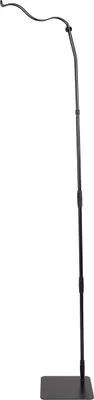 A black floor lamp with a curved arm.