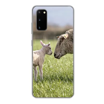 Produktbild von MuchoWow® Handyhülle Schutzhülle Hülle für Samsung Galaxy S20 Schafe - Gras - Lamm Silikon Softcase Handy Hülle - Bild