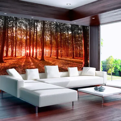 Produktbild von Basera Selbstklebende Fototapete Waldmotiv c-B-0027-a-d, mit UV-Schutz, 343x245 cm