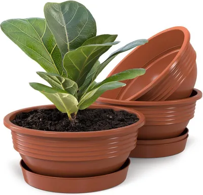 Produktbild von Plastard Blumenschale 3er Set Terrakotta Ø 25 cm mit Untersetzer - Pflanzschale