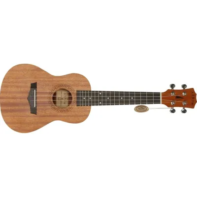 Obrázek produktu pro Arrow MH-10 Plus Natural Koncertní ukulele