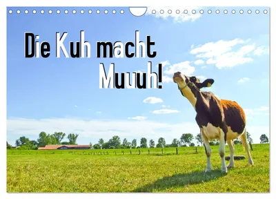 Produktbild von Die Kuh macht Muuuh! (Wandkalender 2027 DIN A4 quer), CALVENDO Monatskalender