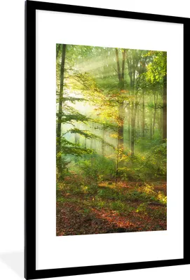 Produktbild von MuchoWow® Gerahmtes Poster Sonne - Wald - Bäume - Natur - Herbst 60x90 cm - Poster mit Schwarzem Bilderrahmen Wandposter Rahmen Foto Bilder - Dekoration - Wandposter Wohnzimmer - Hochwertig