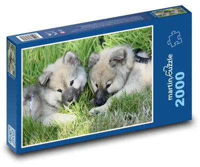 Obrázok produktu pre Puzzle 2000 Eurasier šteňatá - psy - martinpuzzle