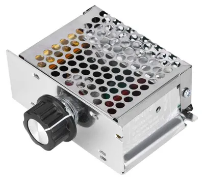 Spannungsregler 4000 W AC 220 V, einstellbar 10-220 V