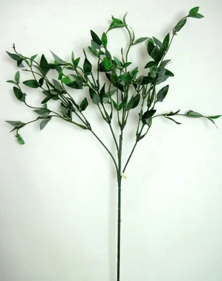 Produktbild von 1 Blätterzweig künstlich grün ca. 70 cm