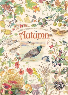 Zdjęcie produktu dla Cobble Hill Country Diary: Autumn, 1000 szt.
