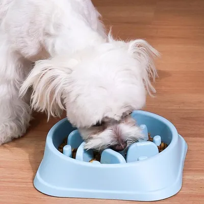 Produktbild von Antischlingnapf für Hunde – Rutschfester Slow-Feeder Futternapf gegen hastiges Fressen, für Trocken- & Nassfutter