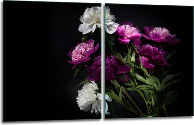 Produktbild von Herdabdeckplatten 2x40x52 Glaskeramikfeld 2-Teilig Glas Spritzschutz Blumen