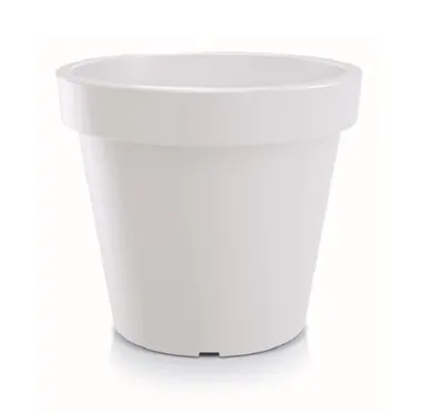 A white flower pot on a white background.
