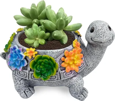 Immagine prodotto di Vaso per tartarughe ombrose - Decorazione da giardino - Resina