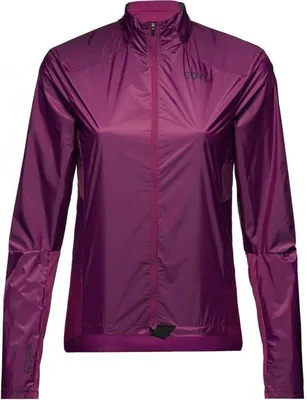 Produktbild von Gore Ambient Jacket Damen lila größe S (38) 100734-BQ00-38