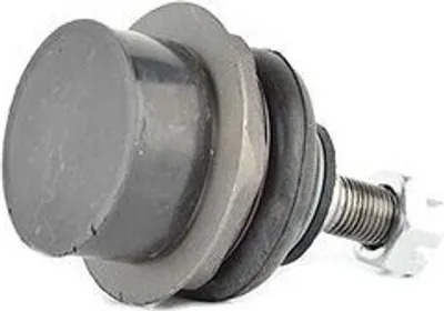 Produktbild von BSG Traggelenk Vorne Unten für HYUNDAI i30 (FD) BSG 40-310-062
