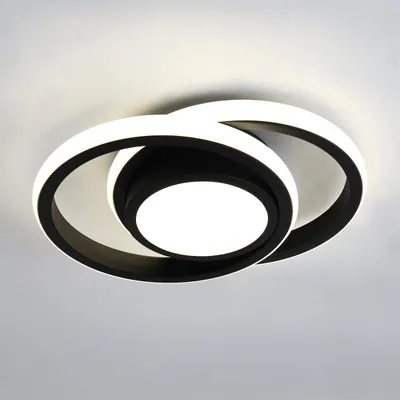 Produktbild von [2 Stücke]LED Deckenleuchte Schwarz Runde 24W Deckenlampe 4000K Tageslicht Lampe Für Schlafzimmer, Wohnzimmer, Küche, Flur,Restaurant Durchmesser 25CM