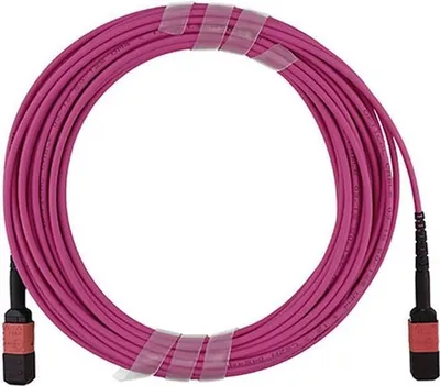 Zdjęcie produktu dla Kabel światłowodowy BlueOptics SFP5252FU1MKA 1 m MPO OM4 fioletowy (SFP5252FU1MKA)