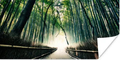 Produktbild von MuchoWow® Poster Bambuswald in Arashiyama, Japan 80x40 cm - Wanddeko