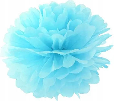 Produktbild von Papier Pompon 20cm - Dekorativer Wabenball für Party, Hochzeit & Geburtstag