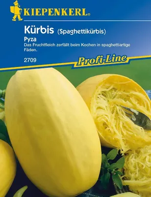 Produktbild von Kürbis Pyza | Kürbissamen von Kiepenkerl