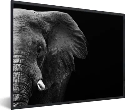 Produktbild von MuchoWow® Gerahmtes Poster Tiere - Elefant - Wild - Schwarz - Weiß 40x30 cm - Poster mit Schwarzem Bilderrahmen Wandposter Rahmen Foto Bilder - Kunstposter - Wanddekorationen