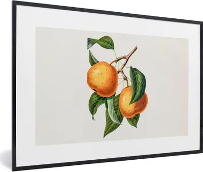 Produktbild von MuchoWow® Gerahmtes Poster Orange - Blatt - Pflanze 60x40 cm - Poster mit Schwarzem Bilderrahmen Wandposter Rahmen Foto Bilder - Printing - Wanddeko Schlafzimmer