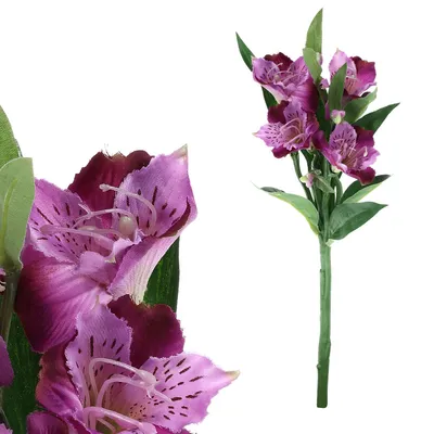 Obrázok produktu pre Autronic Alstromérie, umelý kvet, fialová