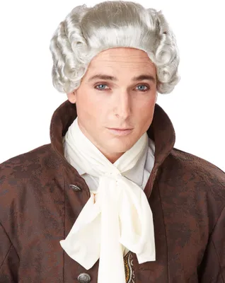 Produktbild von Barock edle graue Perücke Herren