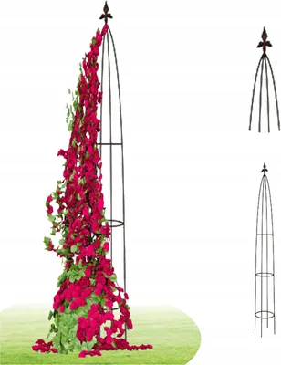 Produktbild von Rankhilfe Spalier Rosenbogen Blumenbeet Unterstützung 180cm Stahl Rankgerüst