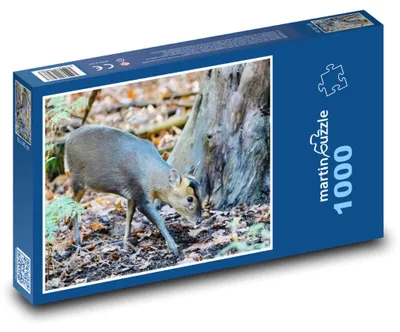 Obrázek produktu pro Puzzle 1000 Muntžak v lese - martinpuzzle