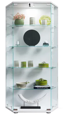 Image de Étui d'affichage en verre debout | Verre avec verre de sécurité ESG | Dimensions env. H. 114 x W. 83 x D. 17 cm | Verre pour présentoir | Moderne et peu encombrant | Armoire d’affichage en verre – Cenila L