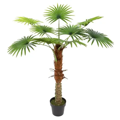 Image de Künstliche palme h120cm  - Atmosphera créateur d'intérieur