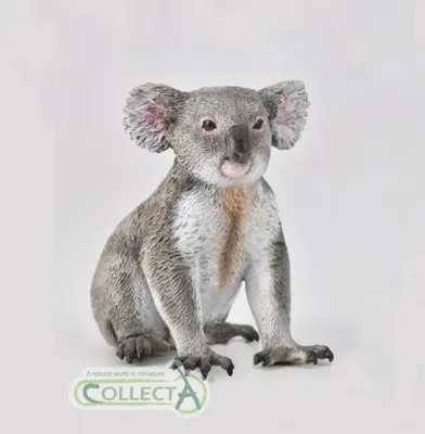 Immagine prodotto di COLLECTA Koala