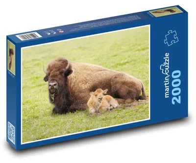 Zdjęcie produktu dla martinpuzzle - Puzzle 2000 - Buvol