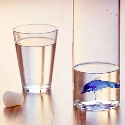 Image de Balvi Atlantis Dolphin Bouteille 1.2 L Transparent Transparent One Size