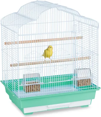 Obrázok produktu pre relaxdays 10030974_53 relaxdays Vogelkäfig mit Zubehör   grün 46,5 x 35,5 x 56,5 cm