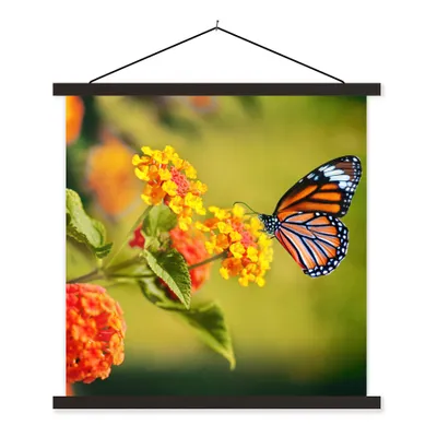 Produktbild von MuchoWow® Textilposter Schmetterling - Insekten - Blumen - Gelb 60x60 cm mit schwarzem Rahmen - Posteraufhänger