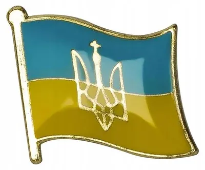 Produktbild von DKM Metall-Pin Ukraine Flagge mit Wappen – Großer Anstecker