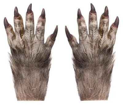 Obrázek produktu pro Halloweenové rukavice, vlkodlak s drápy, chlupaté, rukavice s drápy, hororové, doplňky ke kostýmu démona, stříbrné